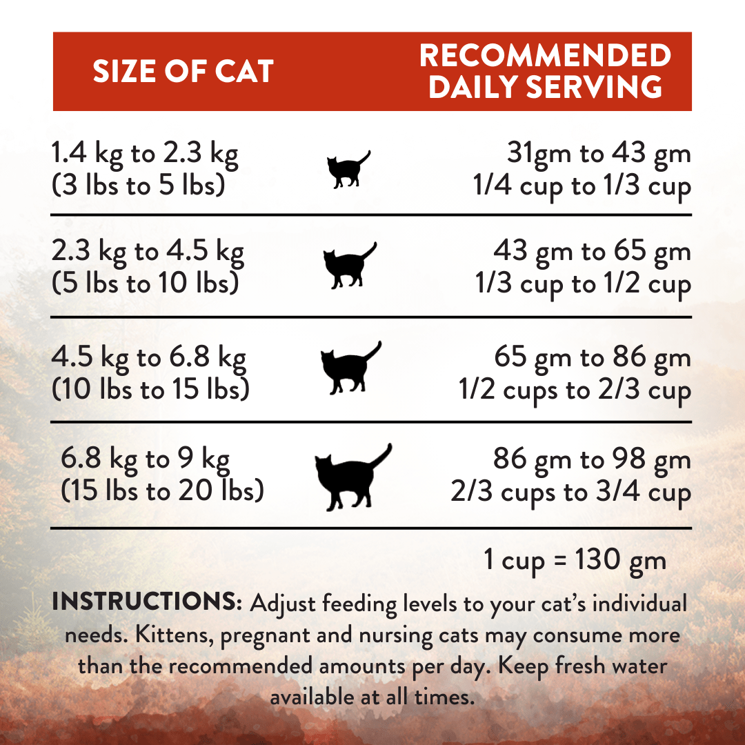 Wild Islands Forest Meat Premium Venison Dry Cat Food 1.8kg, 4.5kg - Addiction Singapore