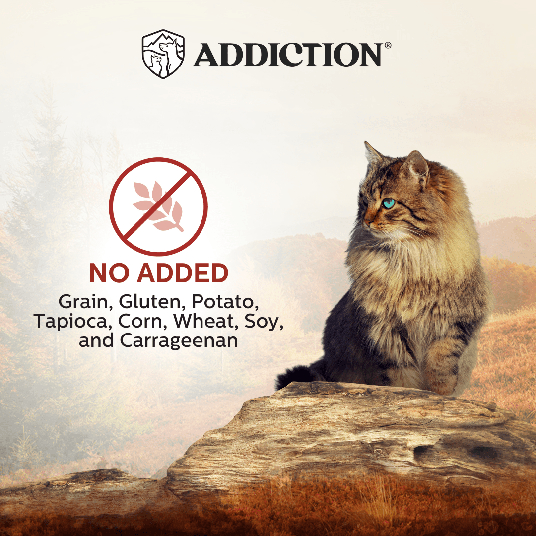 Wild Islands Forest Venison and Beef Wet Cat Food 85g - Addiction Singapore