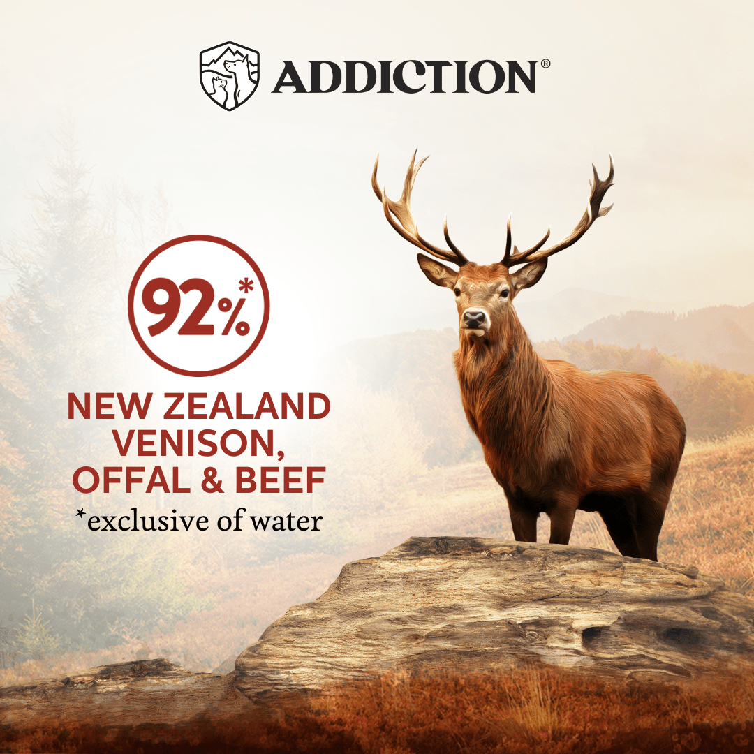 Wild Islands Forest Venison and Beef Wet Cat Food 85g - Addiction Singapore