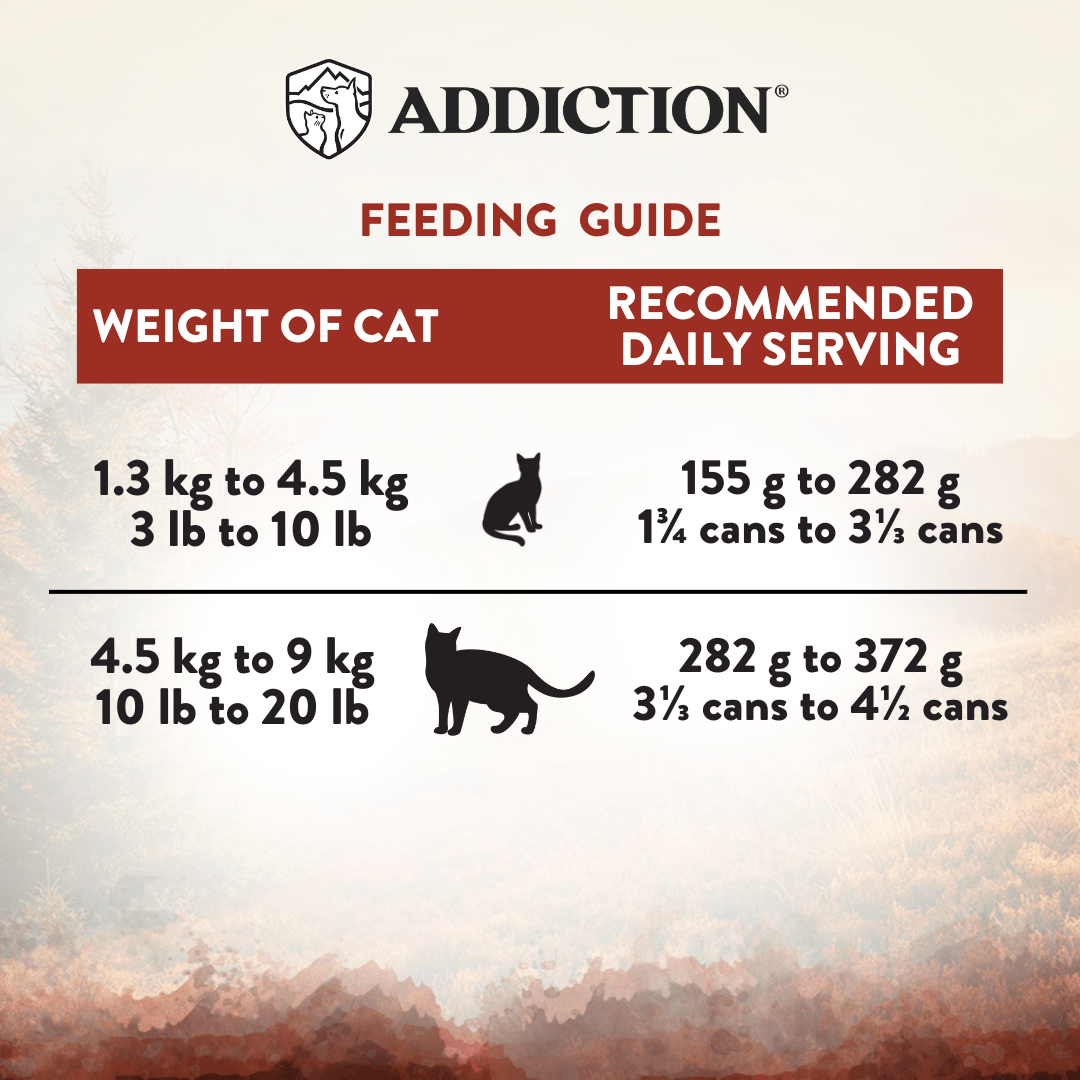 Wild Islands Forest Venison and Beef Wet Cat Food 85g - Addiction Singapore