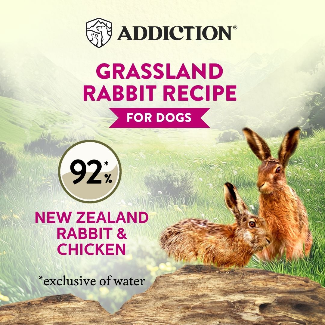 Wild Islands Grassland Rabbit Recipe Wet Dog Food 185g - Addiction Singapore