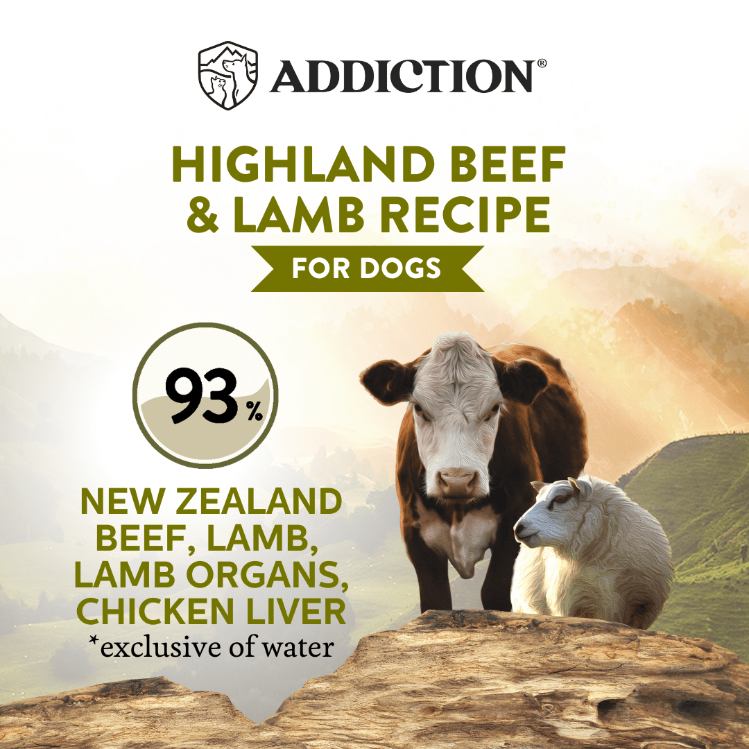 Wild Islands Highland Beef & Lamb Wet Can Dog Food 185g - Addiction Singapore