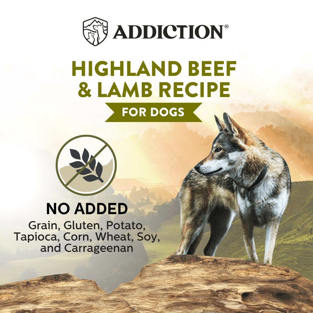 Wild Islands Highland Beef & Lamb Wet Can Dog Food 185g - Addiction Singapore