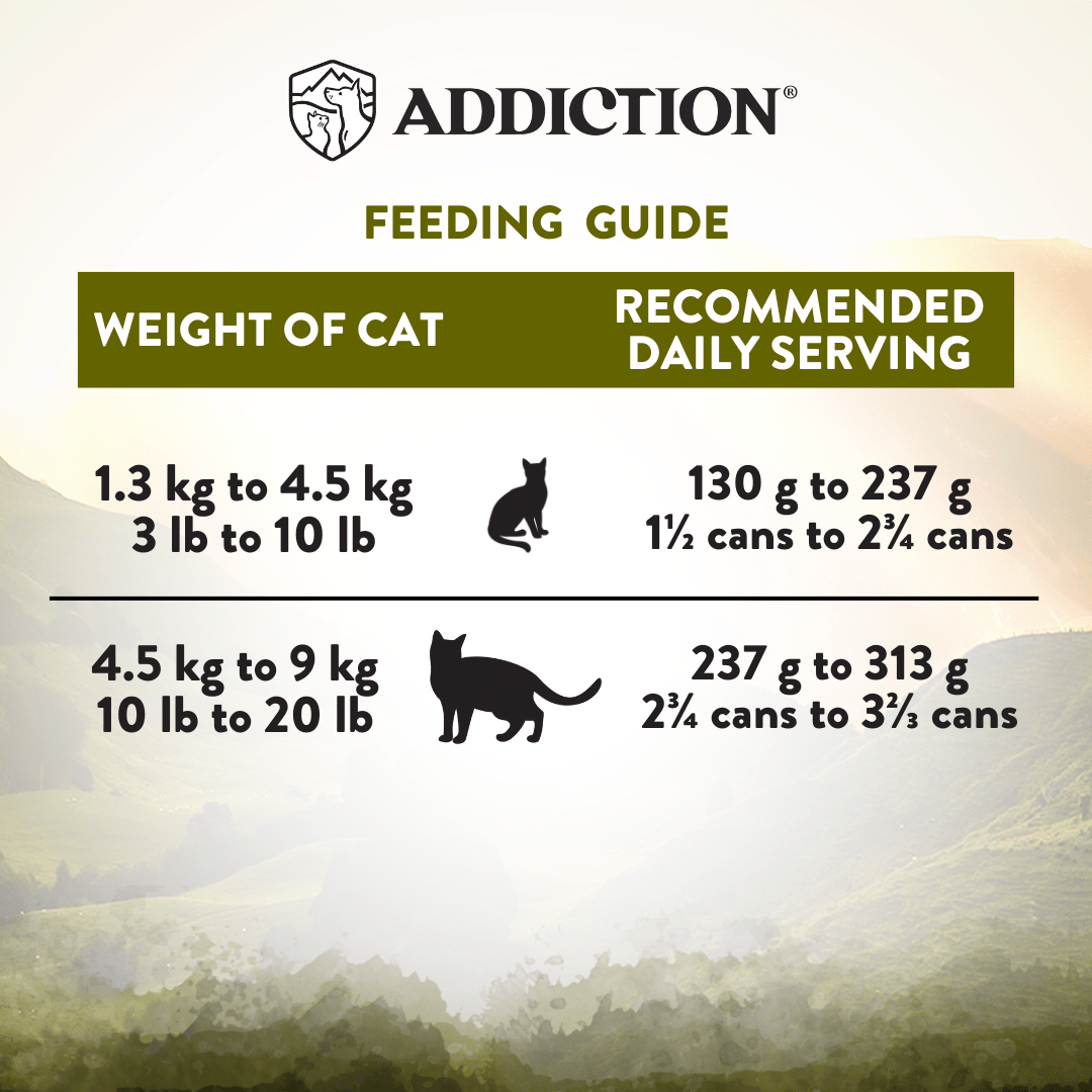Wild Islands Highland Beef & Lamb Wet Cat Food 85g - Addiction Singapore