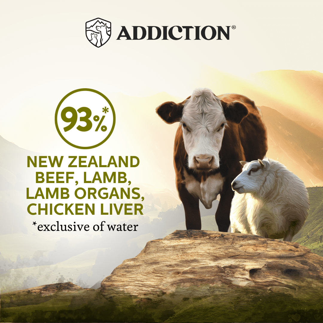 Wild Islands Highland Beef & Lamb Wet Cat Food 85g - Addiction Singapore