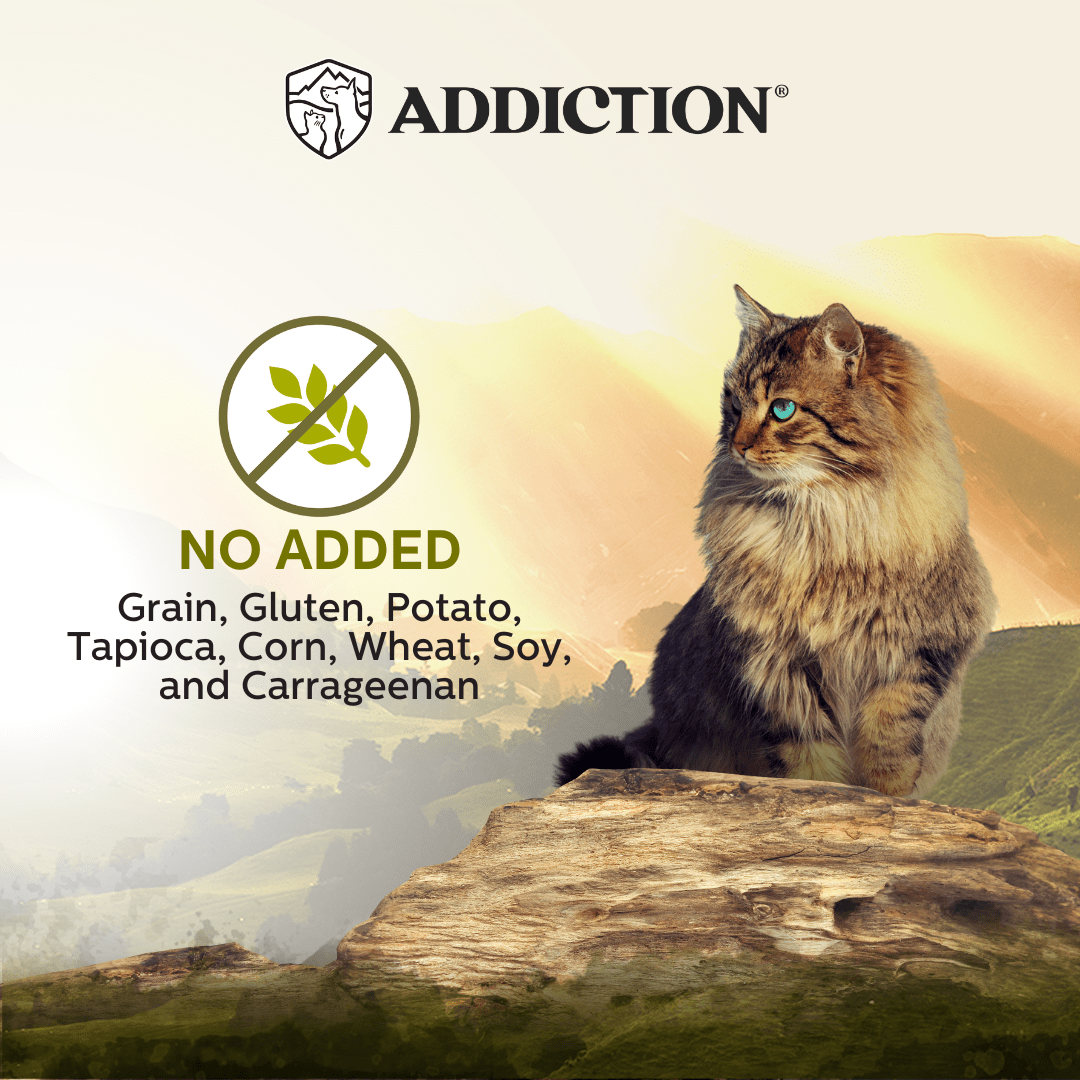Wild Islands Highland Beef & Lamb Wet Cat Food 85g - Addiction Singapore