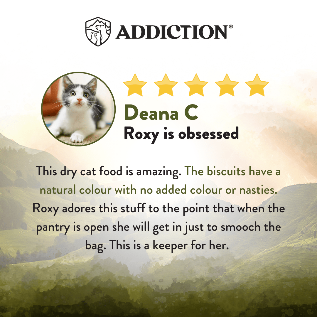 Wild Islands Highland Meats Beef & Lamb Dry Cat Food 1.8kg, 4.5kg - Addiction Singapore