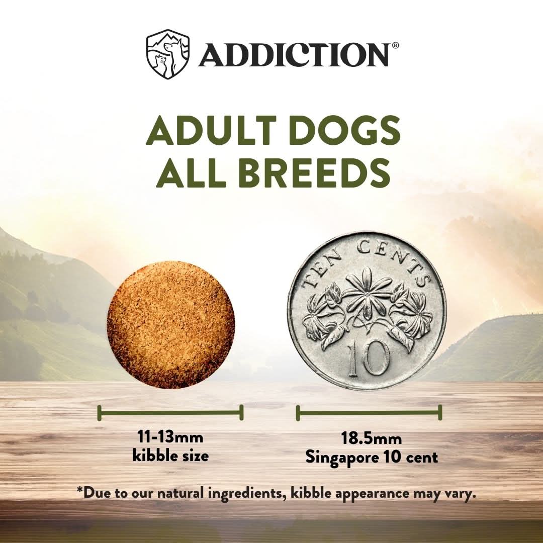 Wild Islands Highland Meats Beef & Lamb Dry Dog Food 1.8kg, 9kg - Addiction Singapore