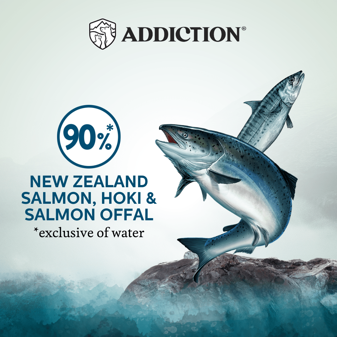 Wild Islands King Salmon Wet Cat Food 85g - Addiction Singapore