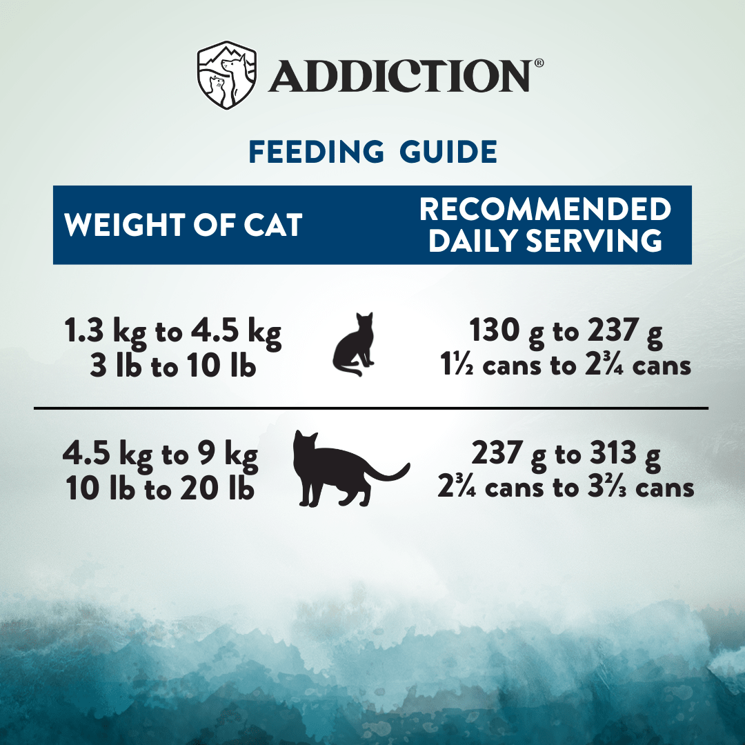 Wild Islands King Salmon Wet Cat Food 85g - Addiction Singapore
