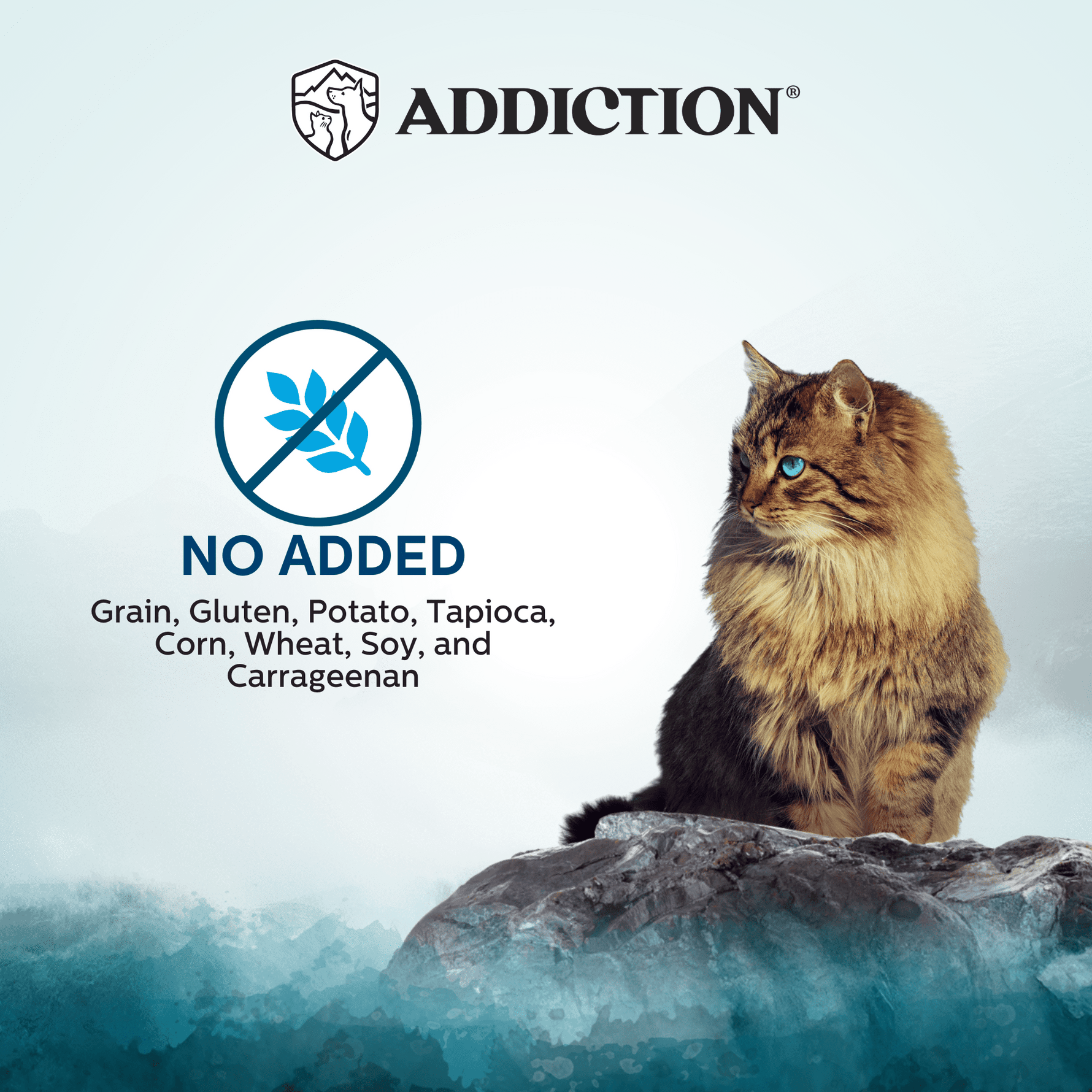 Wild Islands Pacific Catch NZ Fish & Salmon High - Meat Canned Cat Food 185g - Addiction Singapore