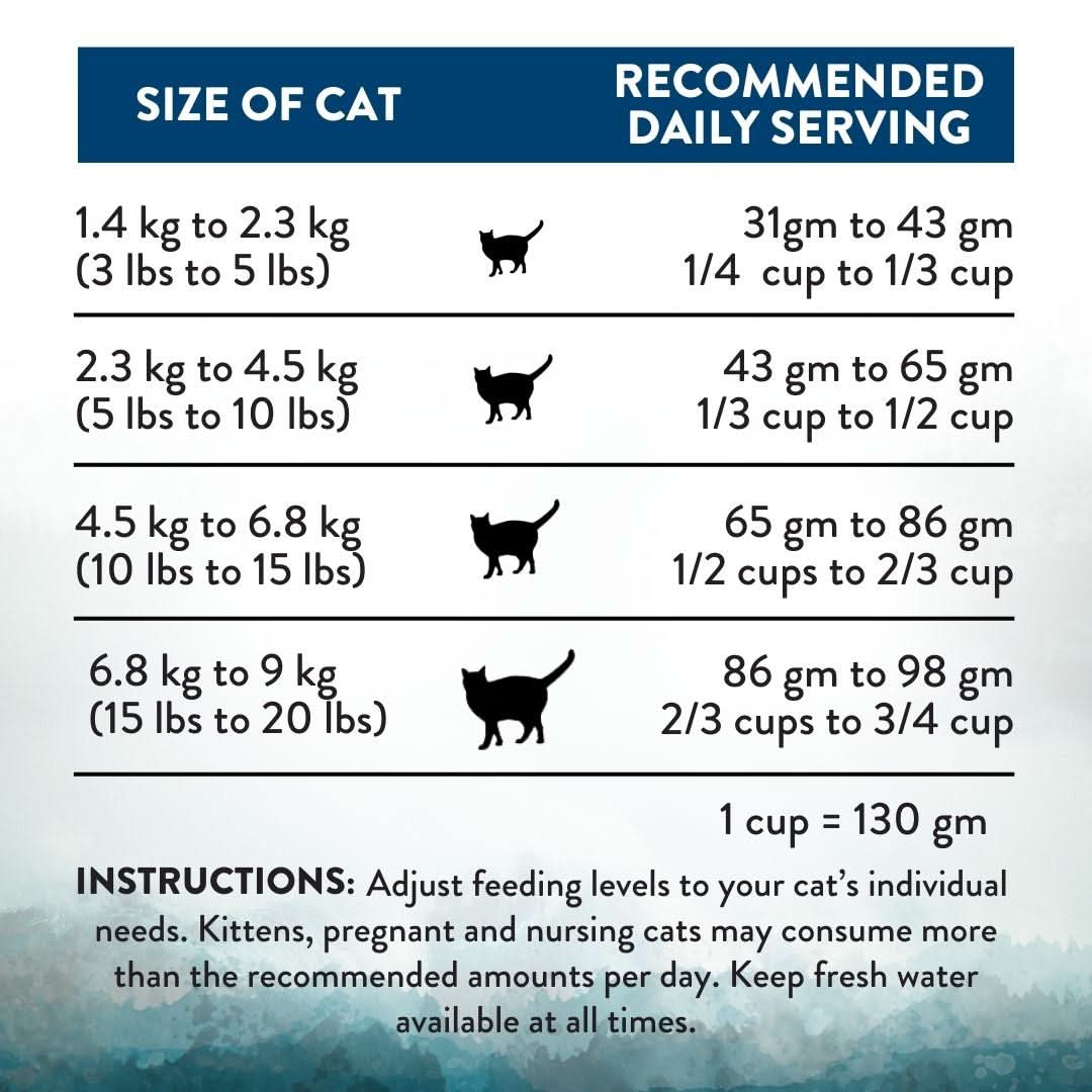 Wild Islands Pacific Catch NZ King Salmon Dry Cat Food 1.8kg, 4.5kg - Addiction Singapore
