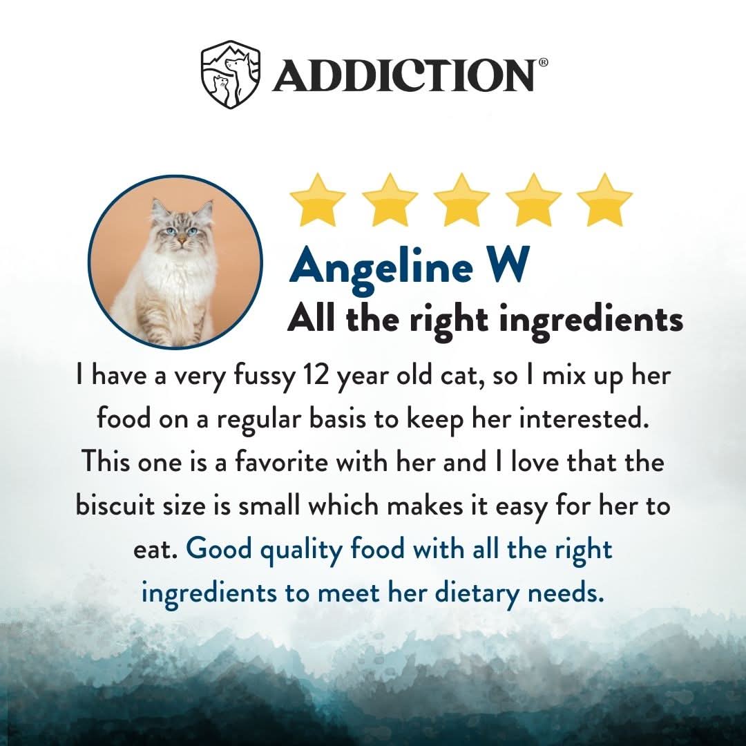 Wild Islands Pacific Catch NZ King Salmon Dry Cat Food 1.8kg, 4.5kg - Addiction Singapore