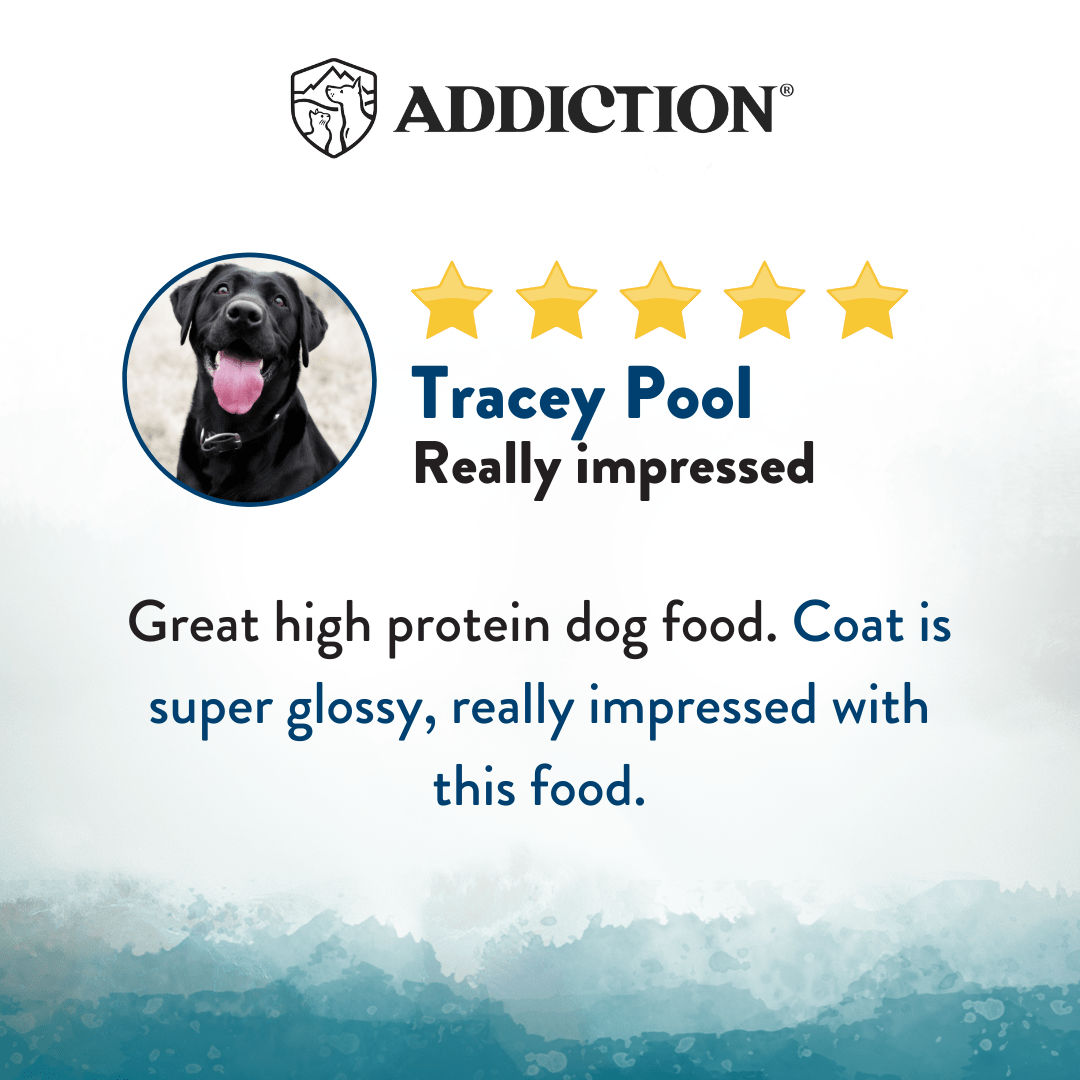 Wild Islands NZ Pacific Catch Salmon, Mackarel & Hoki Dry Dog Food 1.8kg, 9kg - Addiction Singapore