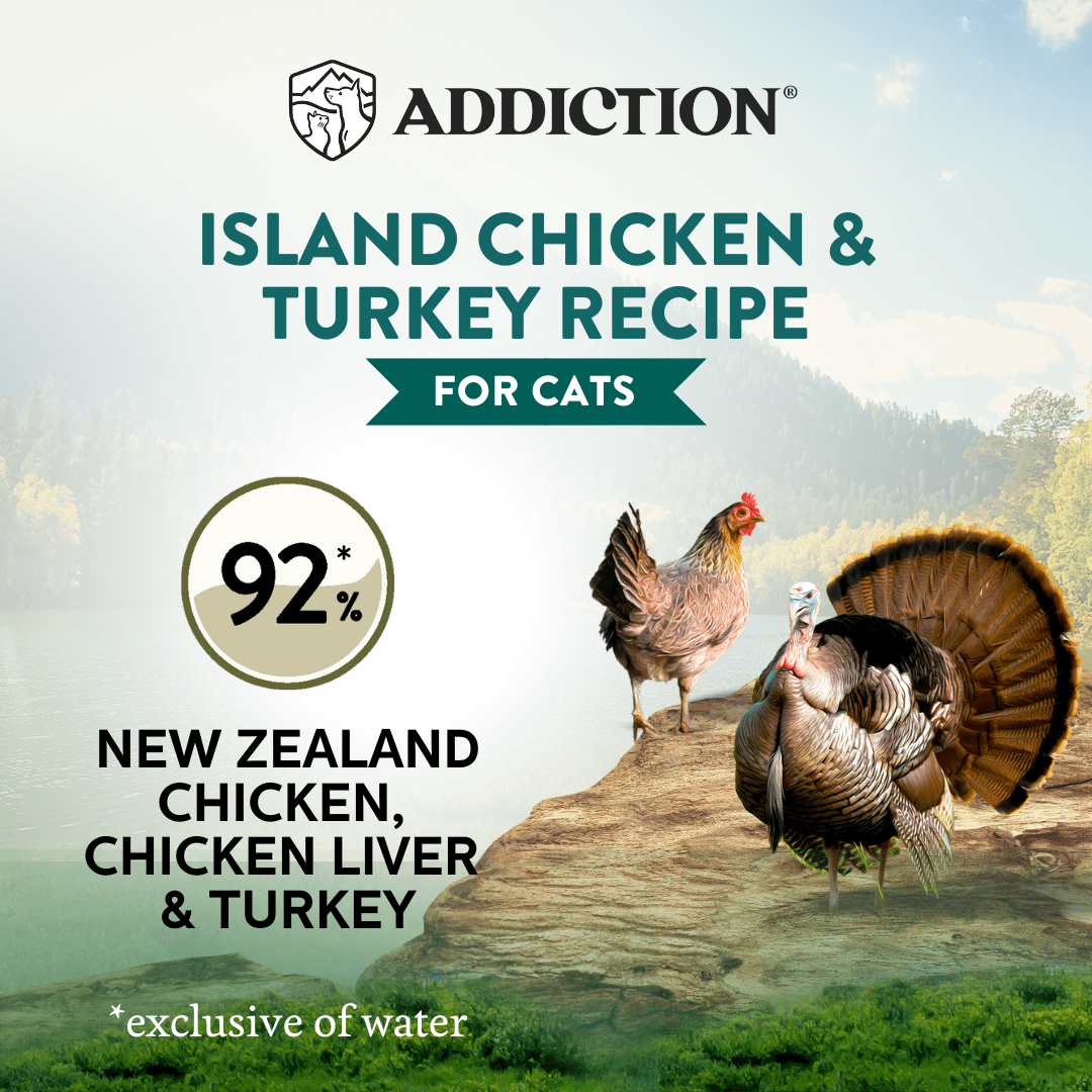 Wild Islands Turkey & Chicken Wet Cat Food 85g - Addiction Singapore
