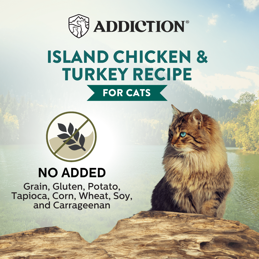 Wild Islands Turkey & Chicken Wet Cat Food 85g - Addiction Singapore