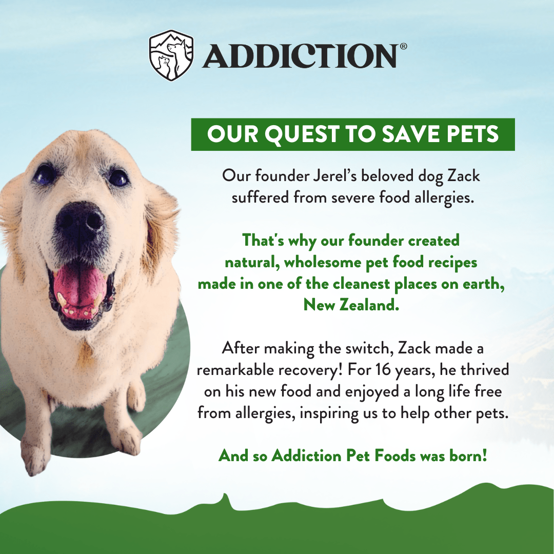 Zen Vegetarian Dry Dog Food 1.8kg, 9kg - Addiction Singapore
