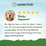 Zen Vegetarian Dry Dog Food 1.8kg, 9kg - Addiction Singapore