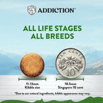 Zen Vegetarian Dry Dog Food 1.8kg, 9kg - Addiction Singapore