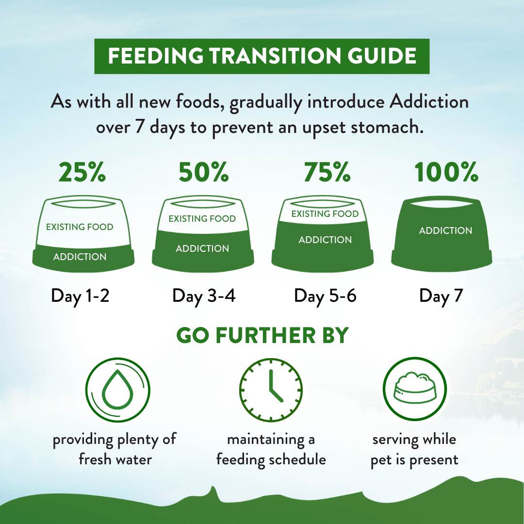 Zen Vegetarian Dry Dog Food 1.8kg, 9kg - Addiction Singapore